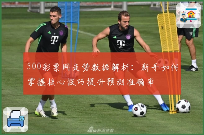 500彩票网走势数据解析：新手如何掌握核心技巧提升预测准确率