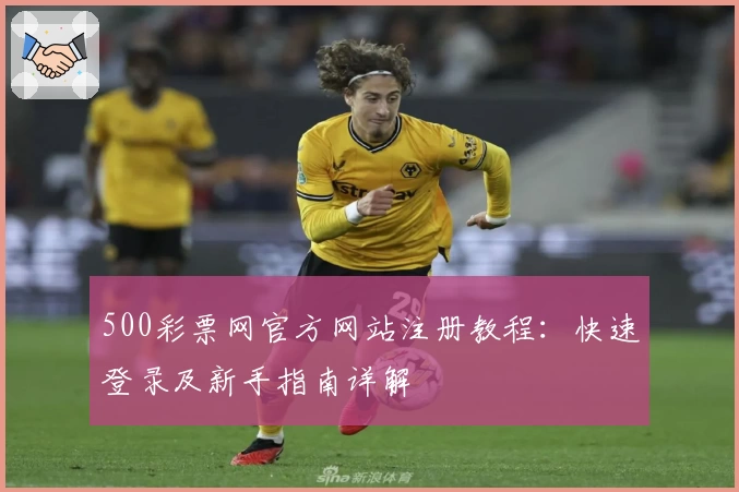 500彩票网官方网站注册教程：快速登录及新手指南详解