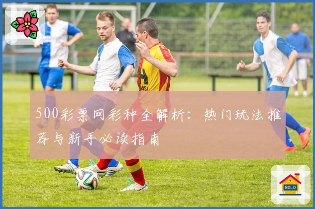 500彩票网彩种全解析:热门玩法推荐与新手必读指南