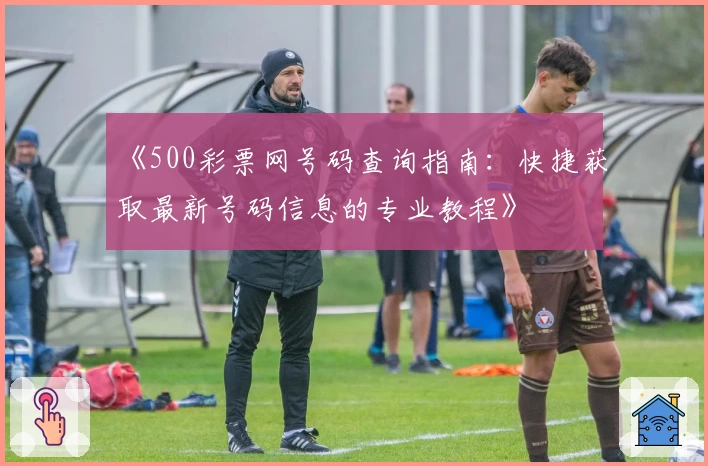 《500彩票网号码查询指南：快捷获取最新号码信息的专业教程》